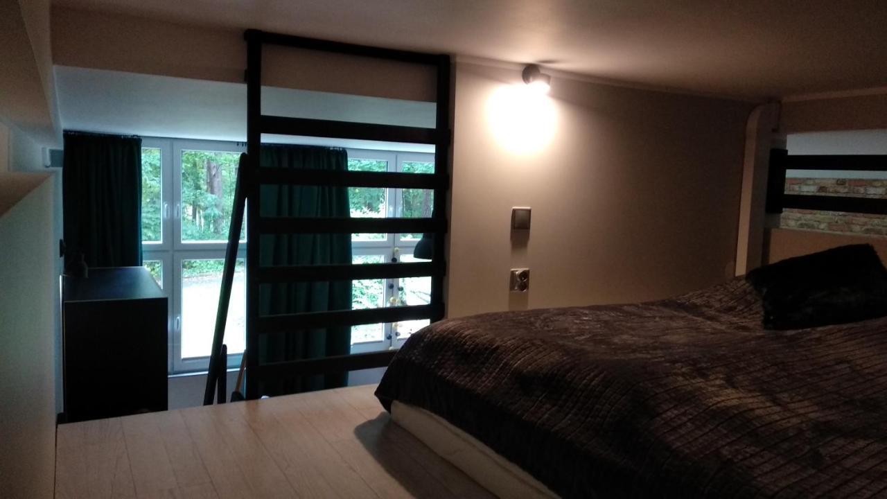 Apartament 5 Przy Parku Lesnym Polanica-Zdrój Buitenkant foto